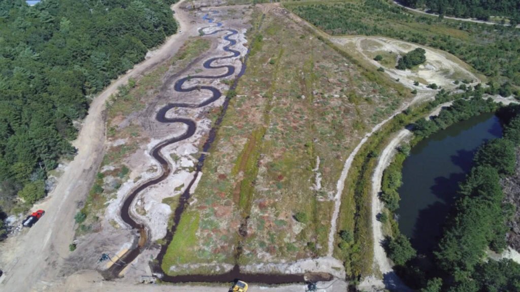 Massachusetts turns retired cranberry bog into habitat for rare brook trout